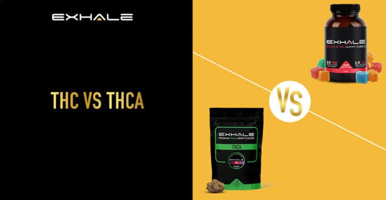 THC Vs THCA: Understanding The Difference - Exhale Wellness