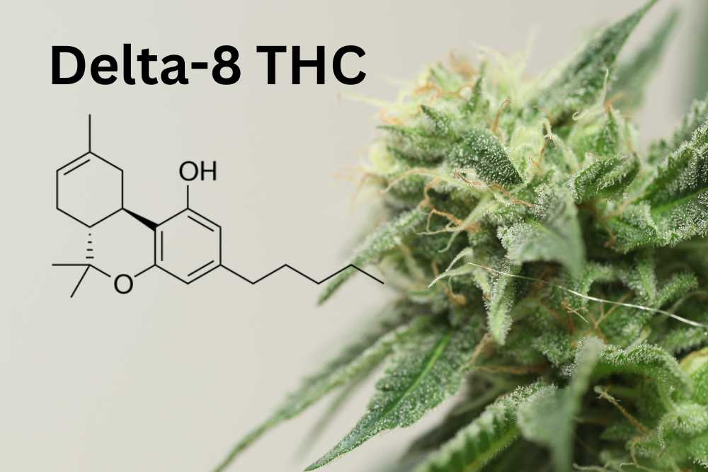 delta 8 thc chemical structure with cannabis bud closeup