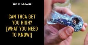 does thca get you high