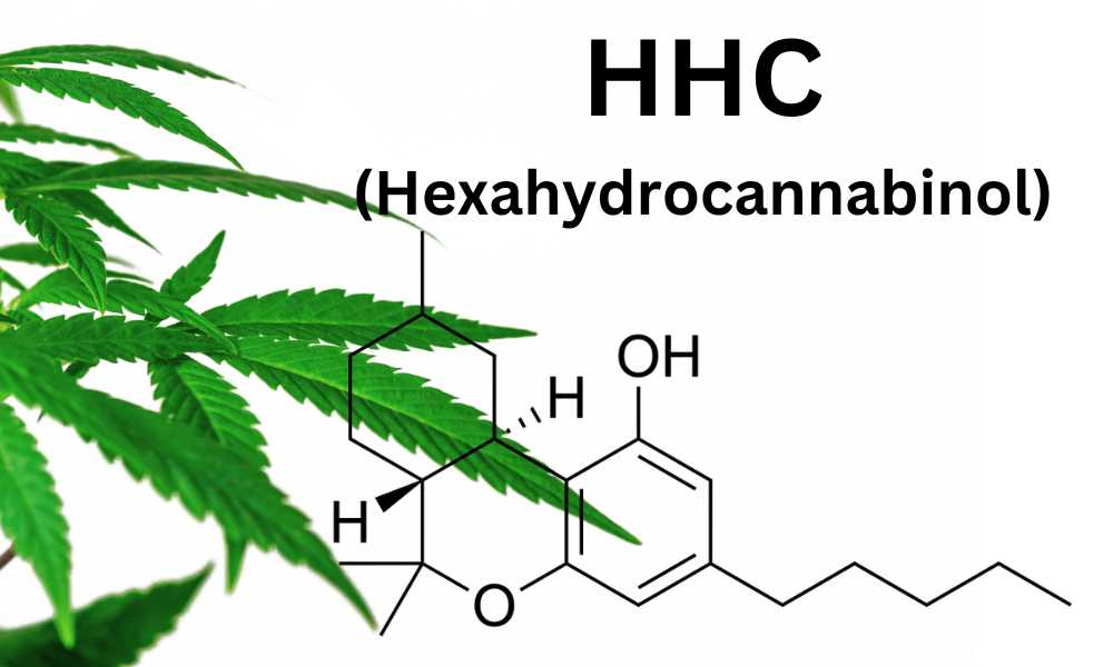 hhc cannabinoid chemical structure cannabis leaf in back