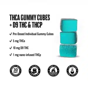 thc-a thc-p gummies - blue raspberry