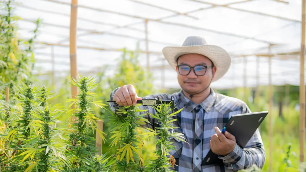 cannabis-cultivation-using-ai-exhale