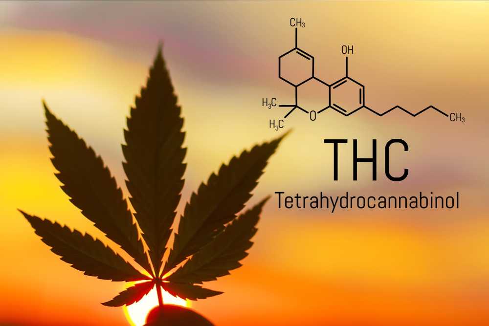 cannabis leaf against sunset with thc chemical structure