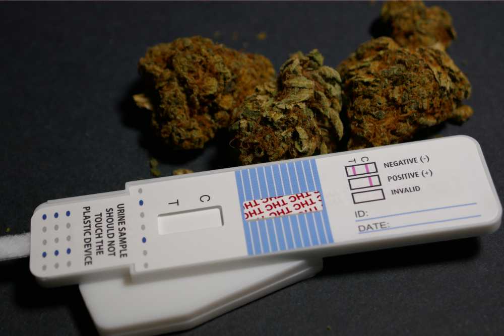 cannabis next to drug test sample