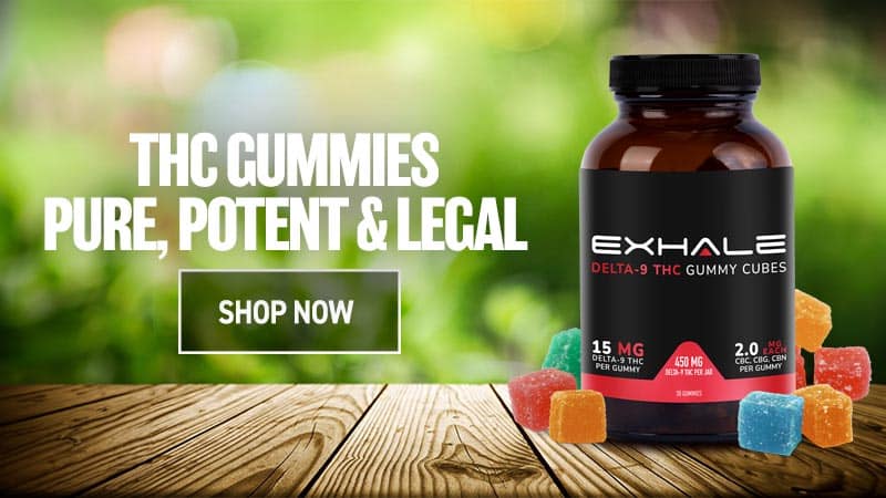 thc gummies shop now blog