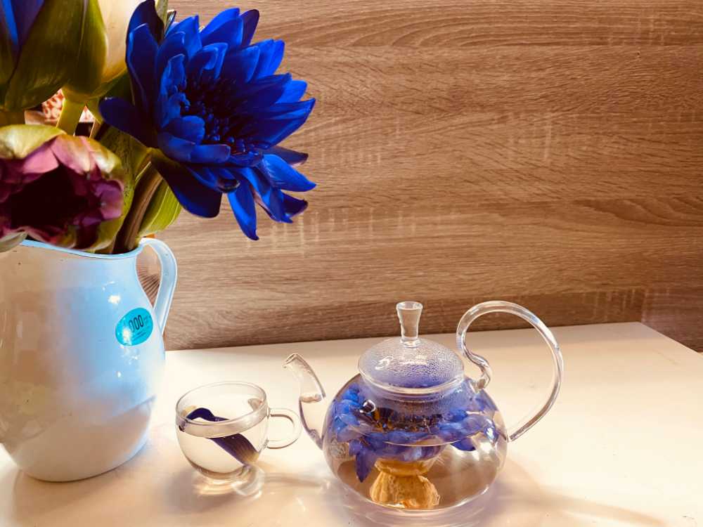 blue lotus flower in teapot