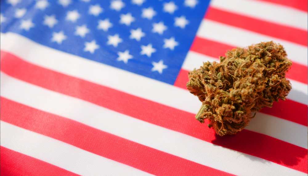 cannabis nug on american flag