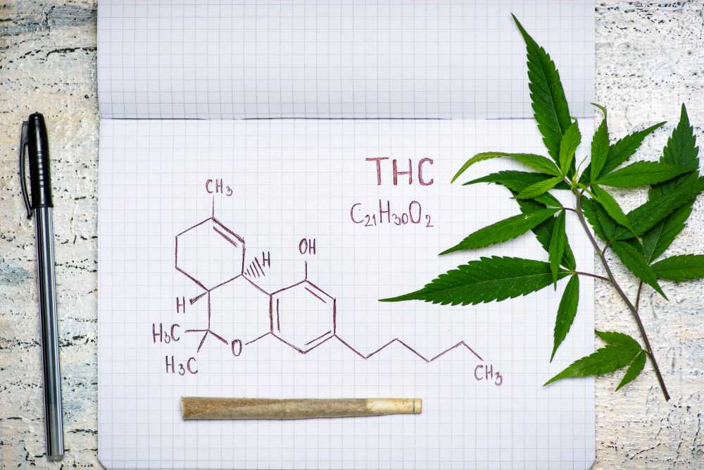 chemical structure of thc in notebook