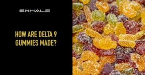 how are delta 9 gummies made