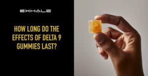 how long do delta 9 gummies last