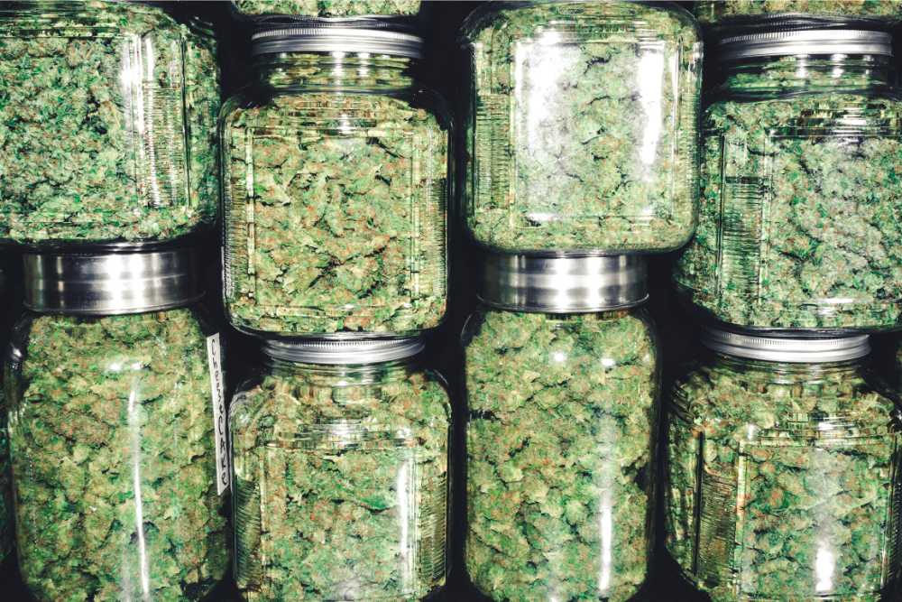 several jars of cannabis