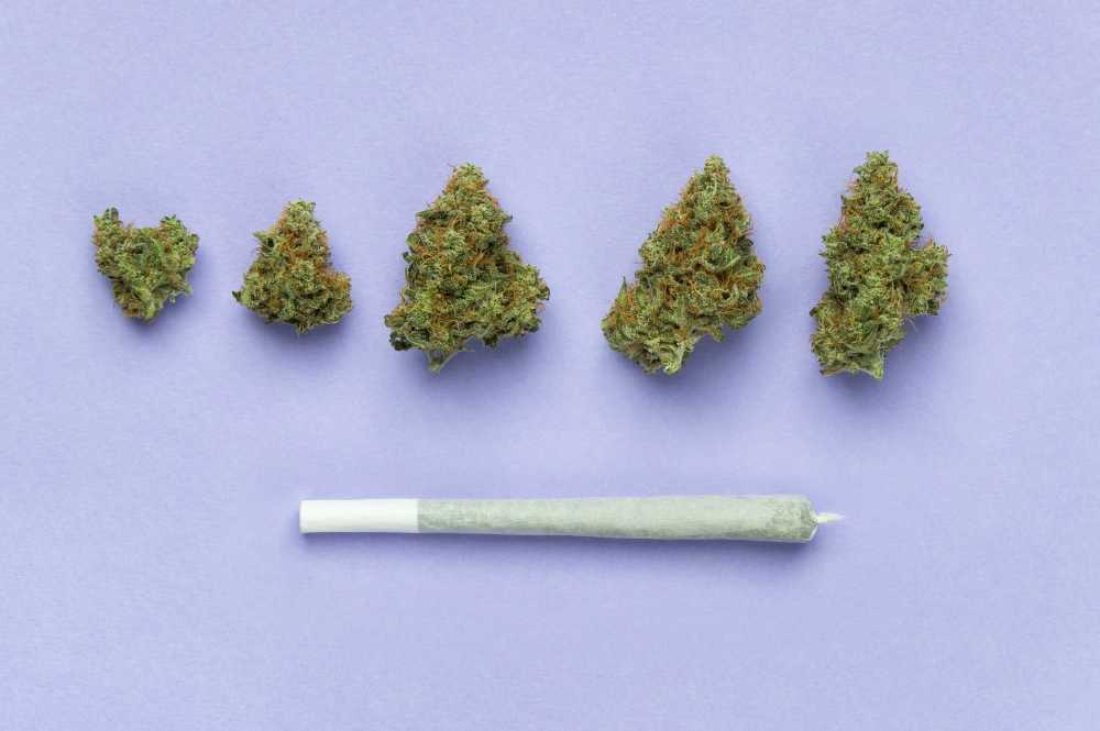 five nugs and a joint