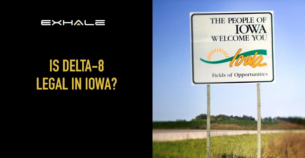 is delta 8 legal in iowa