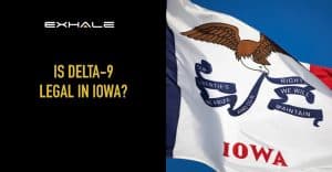 is delta 9 legal in iowa