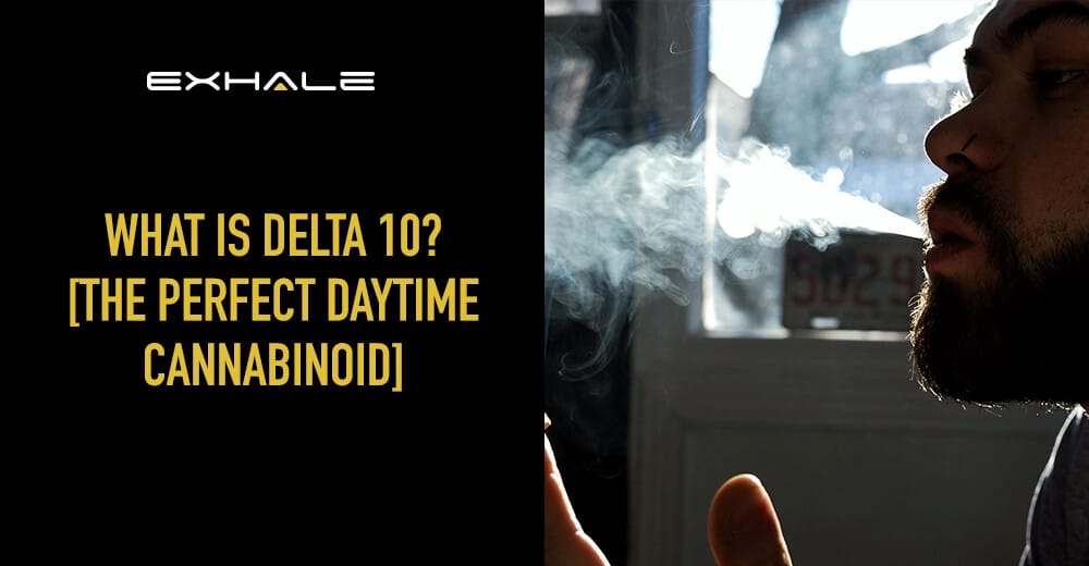 What Is Delta 10? [Discover 4 Incredible Benefits and More!]