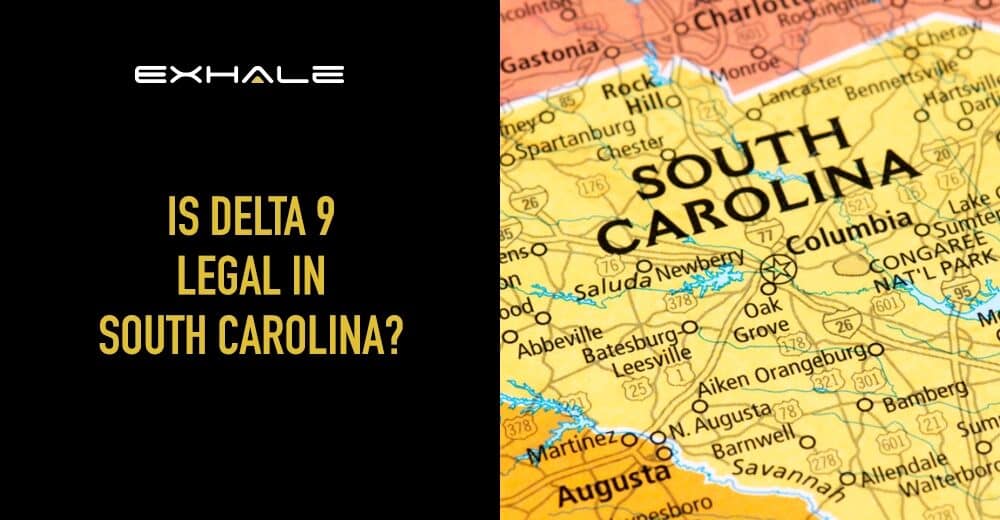 is delta 9 legal in south carolina