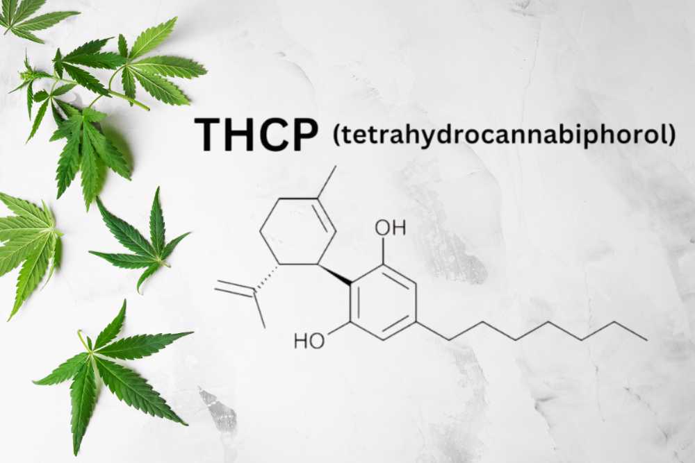 thcp chemical structure longer alkyl side chain