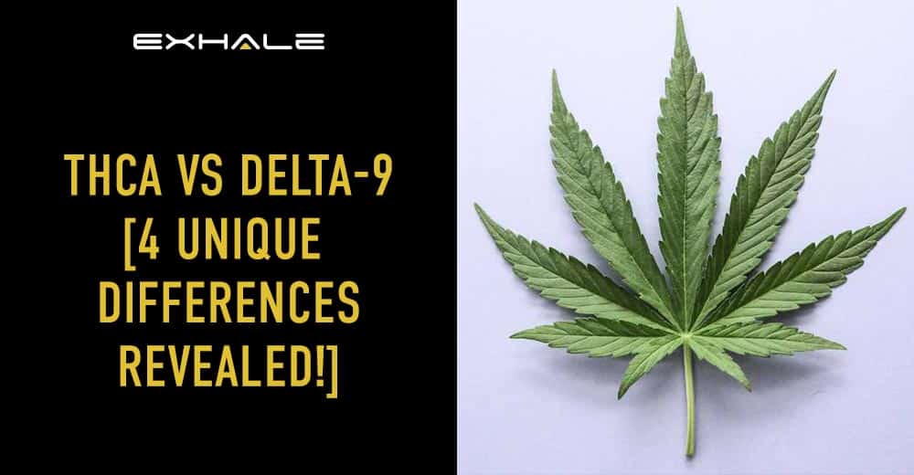 thca vs delta 9