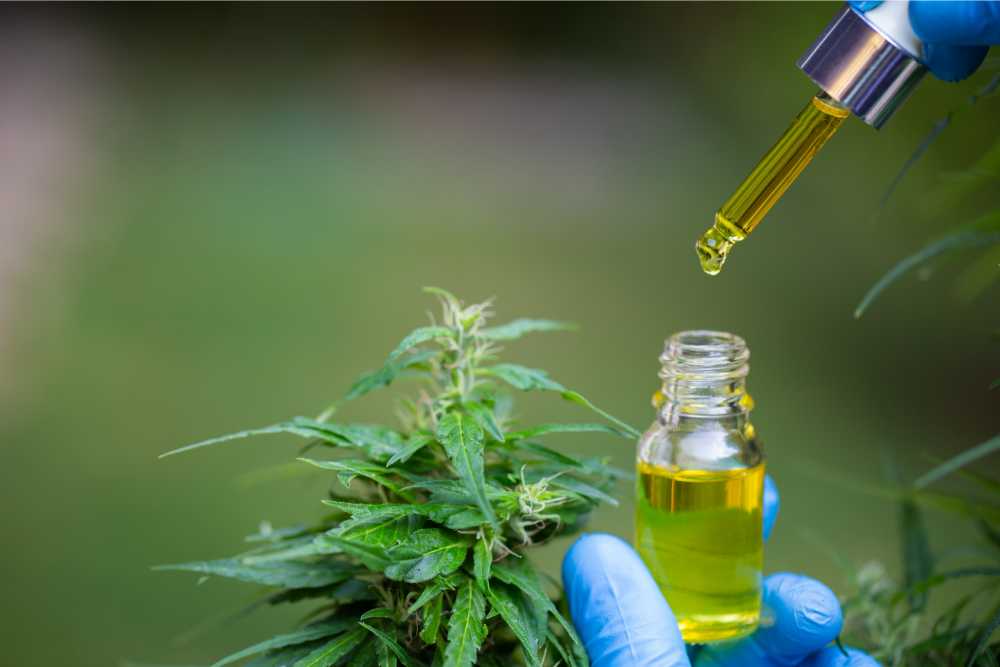 blue gloved hand holding bottle of cannabis oil