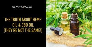 hemp oil vs cbd oil