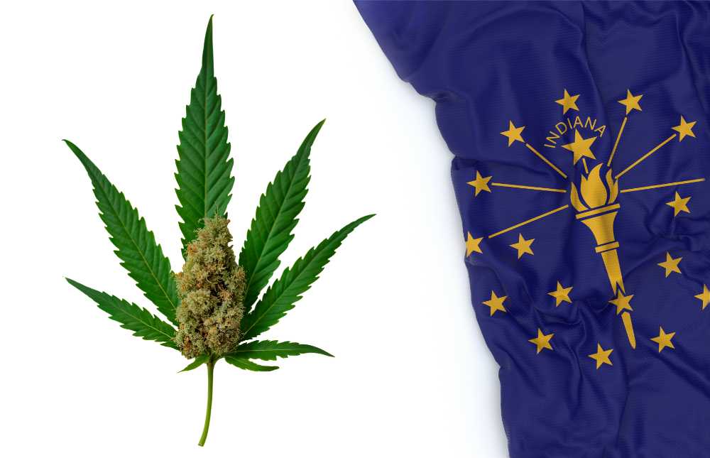 indiana flag next to cannabis bud and leaf