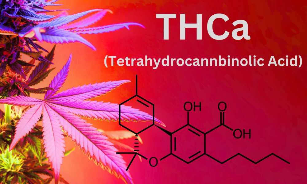 thca tetrahydrocannabinolic acid chemical structure