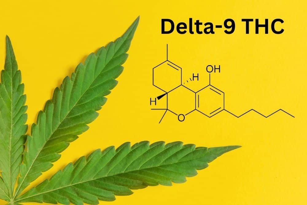 delta 9 thc chemical structure cannabis leaf yellow background