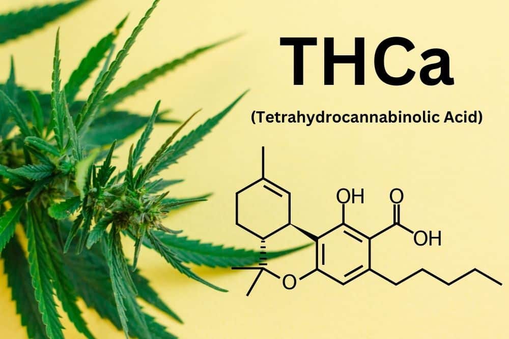 thca chemical structure cannabis leaf with yellow background