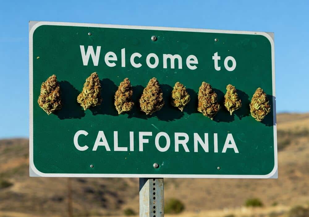 california state sign with cannabis buds on it